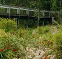 Eurobodalla Botanic Gardens - C Tourism