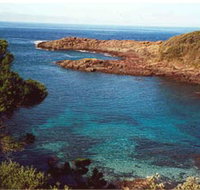 Bass Point Reserve - C Tourism