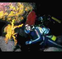 Solitary Islands Marine Park - C Tourism