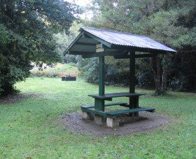 Pine Creek State Forest - C Tourism 0
