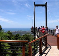 Sealy Lookout - C Tourism