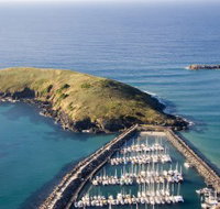 Muttonbird Island Nature Reserve - C Tourism