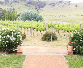 Brindabella Hills Winery - C Tourism 0