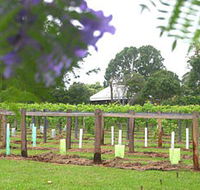 Douglas Vale Historic Homestead  Vineyard - C Tourism