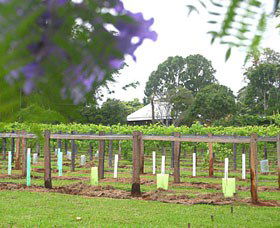 Douglas Vale Historic Homestead & Vineyard - C Tourism 0