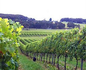 Brayton NSW C Tourism