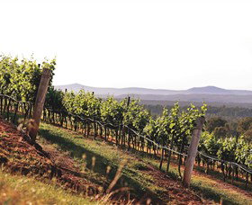 Briar Ridge Vineyard - C Tourism 1