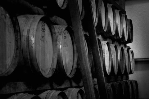 Trevelen Farm Wines - C Tourism 6