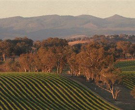 Angullong Wines - C Tourism 0