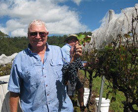 Razorback Ridge Wines - C Tourism 8