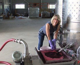 Razorback Ridge Wines - C Tourism 6