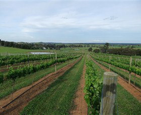 Razorback Ridge Wines - C Tourism 1
