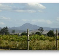 Ironbark Ridge Vineyard - C Tourism