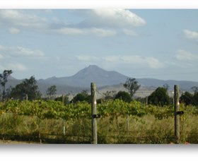 Ironbark Ridge Vineyard - C Tourism 0