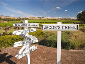 Jacob's Creek Vineyard Tour - C Tourism 1