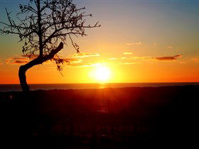Rocky Ridge Vineyard And Cellar Door - C Tourism 0