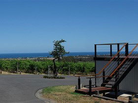 Rocky Ridge Vineyard And Cellar Door - C Tourism 1