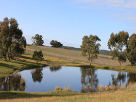 Kersbrook Hill Wines - C Tourism 2
