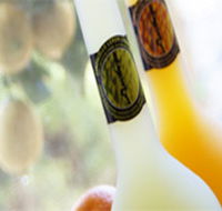 Ambra Limoncello - C Tourism