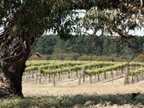 Wangolina Station - C Tourism 3