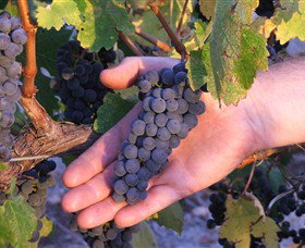 Russells Bridge VIC C Tourism