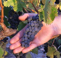 Eagles Rise Wine - C Tourism