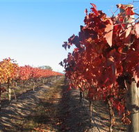 Kooyonga Creek Wines - C Tourism