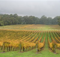 Boat O'Craigo Wines - C Tourism