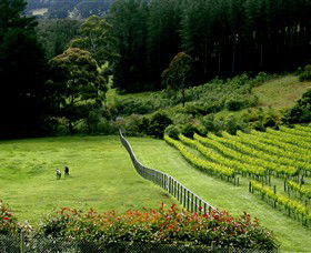 Prancing Horse Estate - C Tourism 2