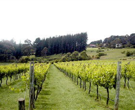 Prancing Horse Estate - C Tourism 3