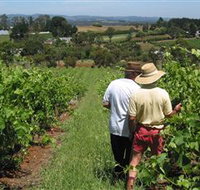 Sir Paz Estate - C Tourism