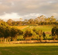 Gosling Creek - C Tourism