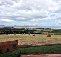 The Hazards Vineyard - Devil's Corner - C Tourism
