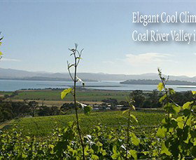 Coal Valley Vineyard - C Tourism 5