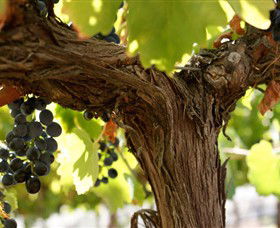 Ravenswood VIC C Tourism