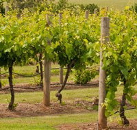 Mt Coghill Vineyard - C Tourism