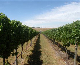 Cannibal Creek Vineyard - C Tourism 1