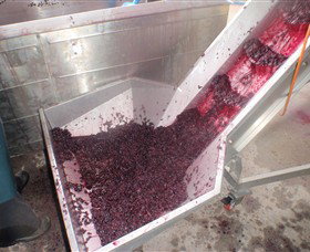 Cannibal Creek Vineyard - C Tourism 6