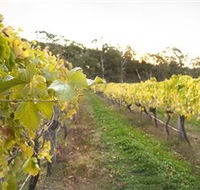 Harcourt Valley Vineyards - C Tourism