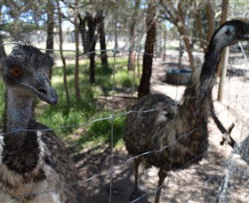 Narana Aboriginal Cultural Centre - C Tourism 4