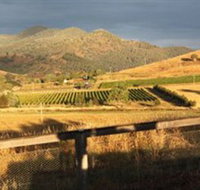 Optimiste Wines - C Tourism