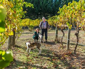 Fawcett VIC C Tourism