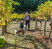 Little River Wines of Taggerty - C Tourism