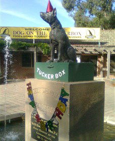 The Dog On The Tucker Box - C Tourism 1