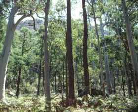Cathedral Range State Park - C Tourism 0