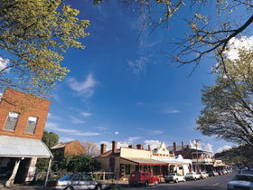 Drysdale Cheeses - C Tourism 1