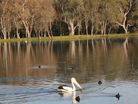 Drysdale Cheeses - C Tourism 7