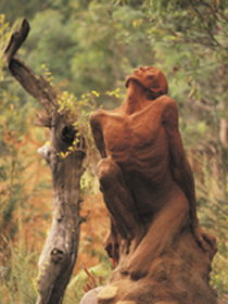 Drysdale Cheeses - C Tourism 10