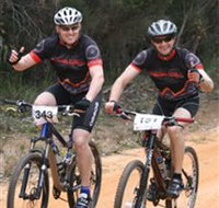 Trailhead Bike Co. - C Tourism