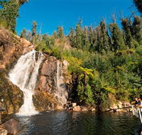 Steavenson Falls Marysville - C Tourism